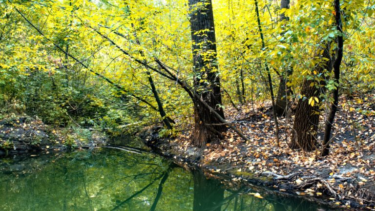 Planes de naturaleza en Urda para una escapada tranquila