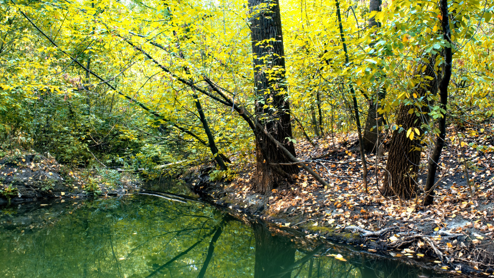 Planes de naturaleza en Urda para una escapada tranquila